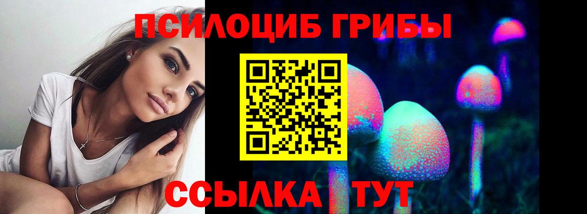 Галлюциногенные грибы мицелий  Вход с VPN  Киреевск 